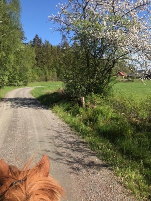 Stenlid - Med Naturen Och Lugnet I Fokus Veddige Экстерьер фото